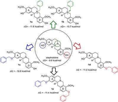 Synthesis and Inhibition Evaluation of New Benzyltetrahydroprotoberberine Alkaloids Designed as Acetylcholinesterase Inhibitors